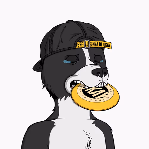 Okay Dogs 4