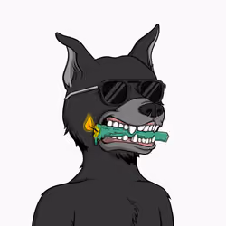 Okay Dog #8593
