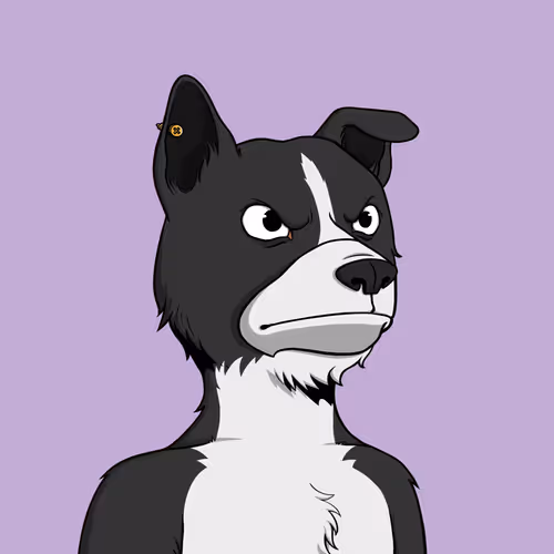 Okay Dogs 4