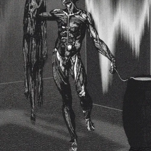 Realizations