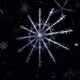 Winterborn 2001