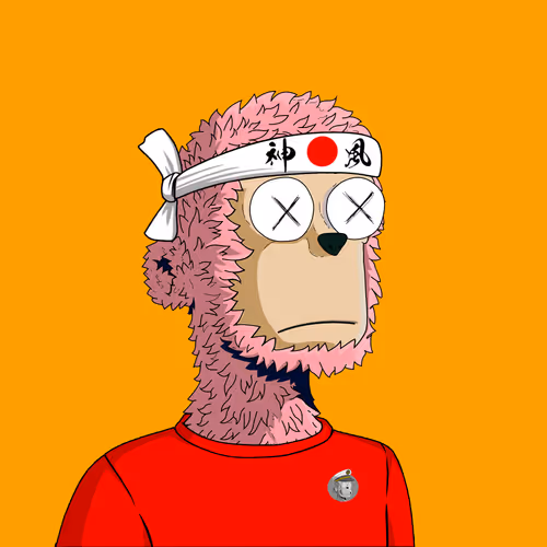 Y00ts Yacht Club