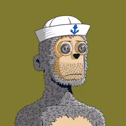 y00ts Yacht Club#7741