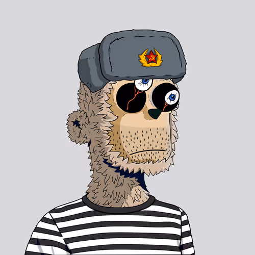 Y00ts Yacht Club