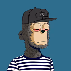 y00ts Yacht Club#2381