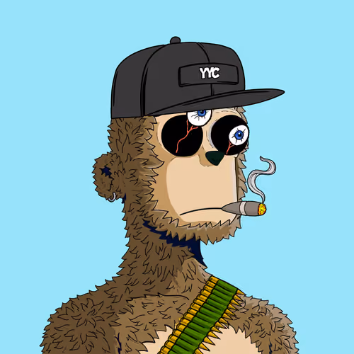 y00ts Yacht Club#8103