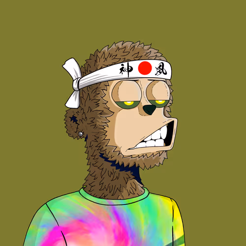 Y00ts Yacht Club