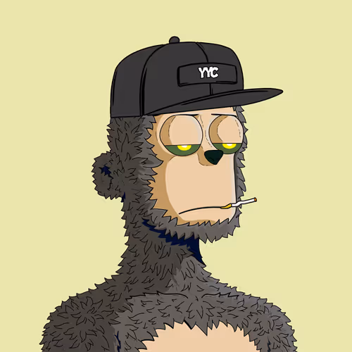 Y00ts Yacht Club