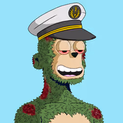 y00ts Yacht Club#1459