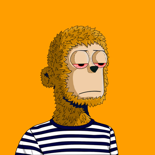 Y00ts Yacht Club
