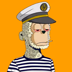 y00ts Yacht Club#6109