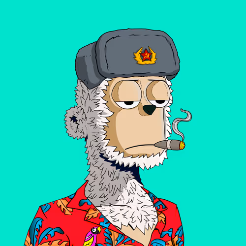 Y00ts Yacht Club