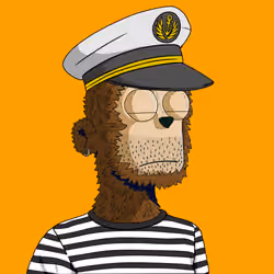 y00ts Yacht Club#5584