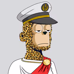 y00ts Yacht Club#8761