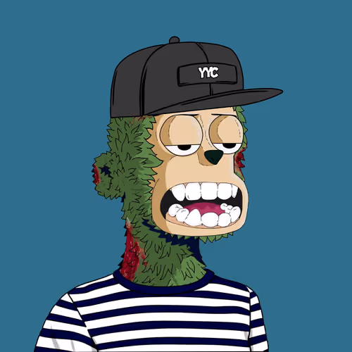 y00ts Yacht Club#9970