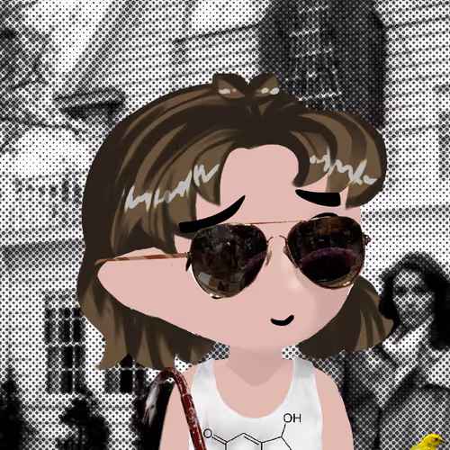 Conspiracy Lady Maker