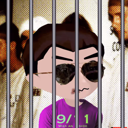Conspiracy Lady #477