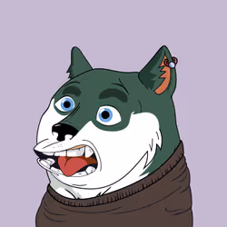 4336