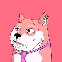 6902
