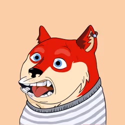 1207