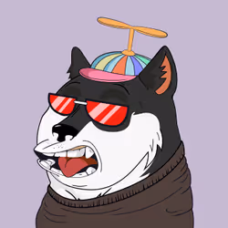 4647