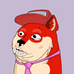 43