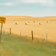 The Road West