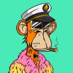 4206