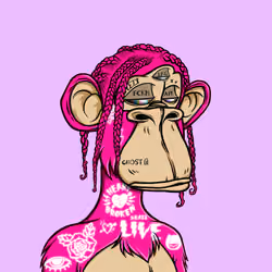 855