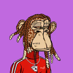 3336