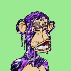 2559