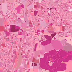 Mysore, India - Pink