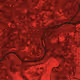 1655
