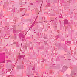 Santa Ana, CA, USA - Pink