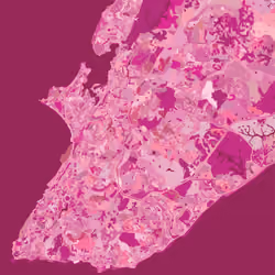 Salvador, Brazil - Pink