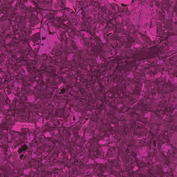 Birmingham, UK - Purple