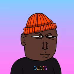 DUDES #1521