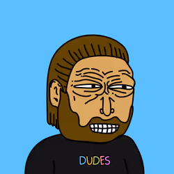 DUDES #208
