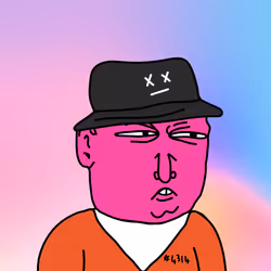 6038