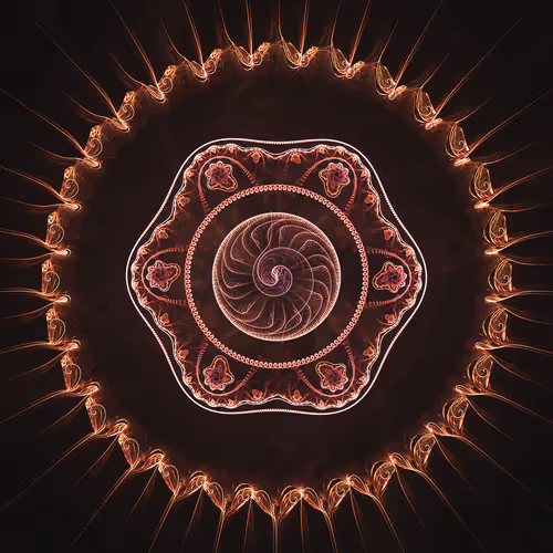 Senses #62
