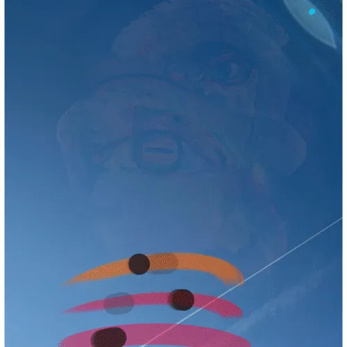 26