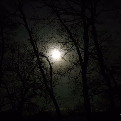 Full Pink Moon