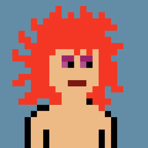 V0 Punks