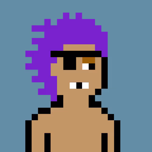 V0 Punks
