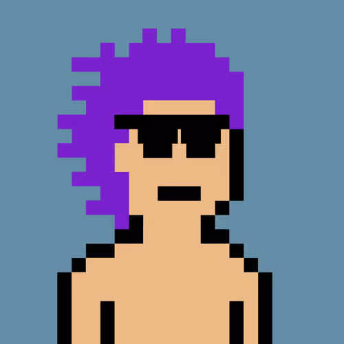 V0 Punks