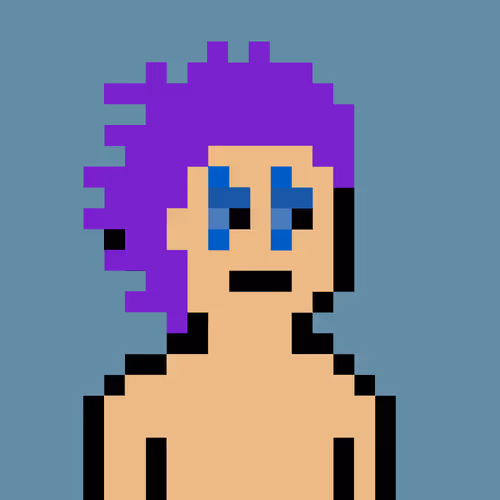 V0 Punks