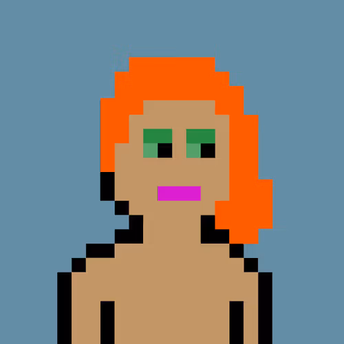 V0 Punks