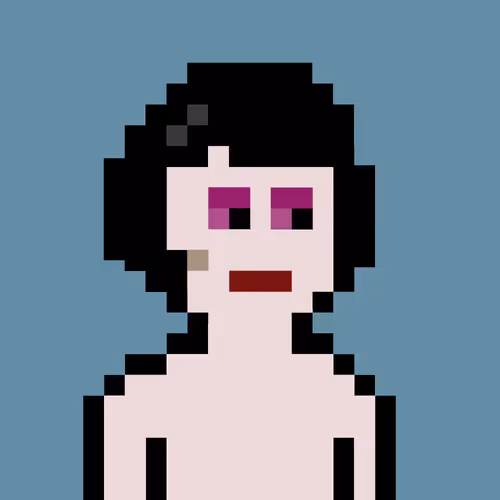 V0 Punks