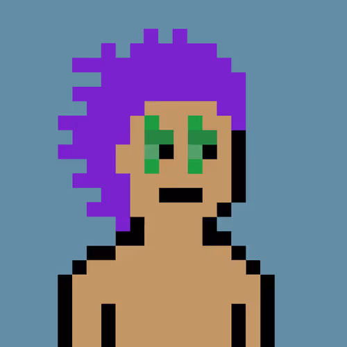 V0 Punks
