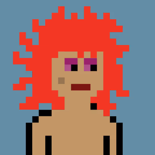 V0 Punks